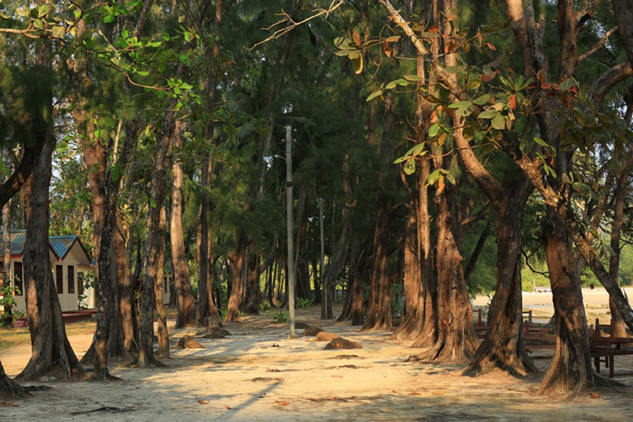 Coconut Island Resort Ngapali Luaran gambar
